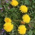 phoca_thumb_m_przkumnci 3 Fotogalerie